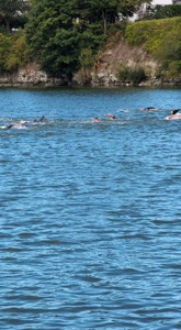 Bild 10 från Klagshamn Triathlon